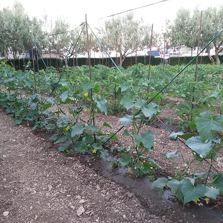 House Petar By Sea Τρογκίρ