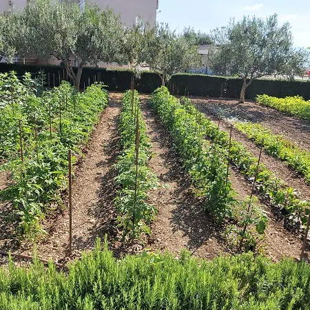 House Petar By Sea 빌라 *