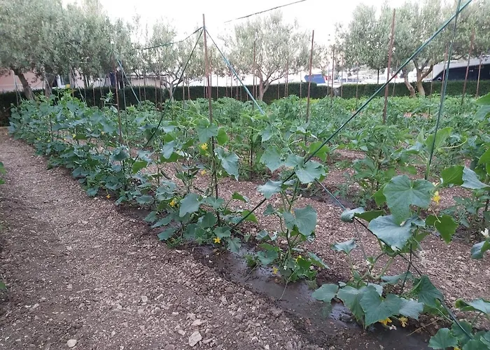 House Petar By Sea Trogir